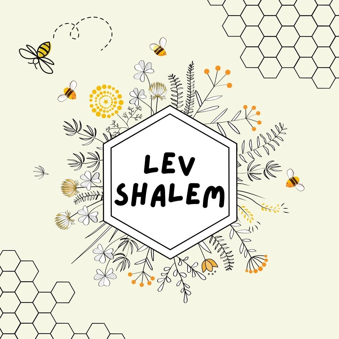 Lev Shalom: Whole-Hearted, a Nefesh community support space for social justice work
