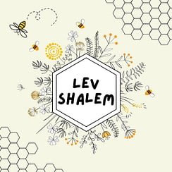 Lev Shalom: Whole-Hearted, a Nefesh community support space for social justice work