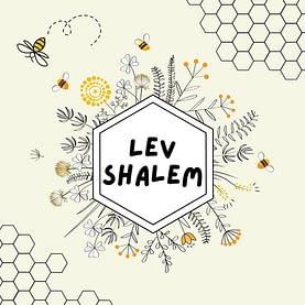 Lev Shalom: Whole-Hearted, a Nefesh community support space for social justice work