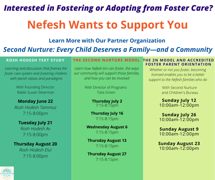 Interested in Fostering or Adopting from Foster Care?